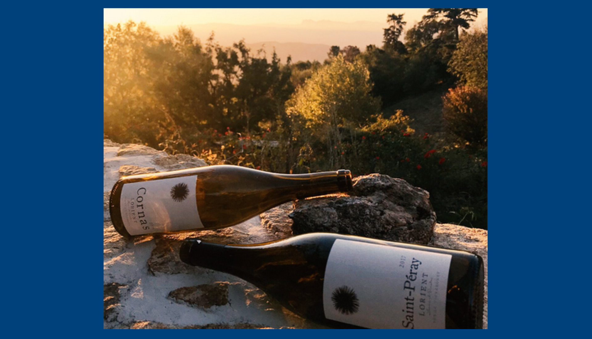 Le vin au naturel - Domaine de Lorient
