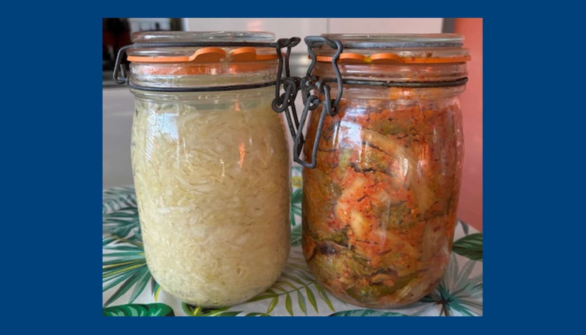 Les aliments lacto fermentés