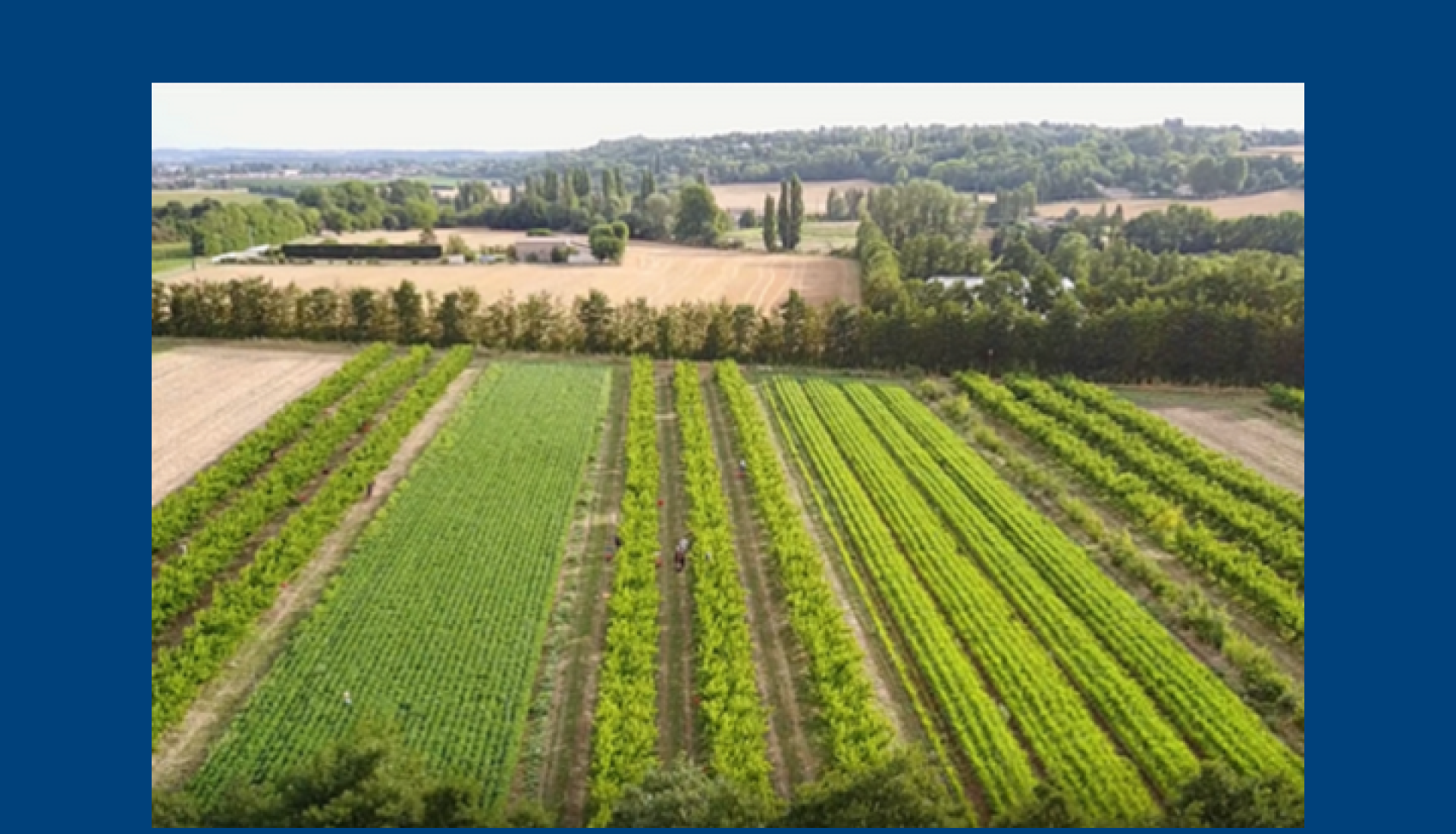 Visite de la Ferme Expérimentation d'Etoile sur Rhône : venez découvrir les systèmes et techniques de production de l'Agriculture de demain.