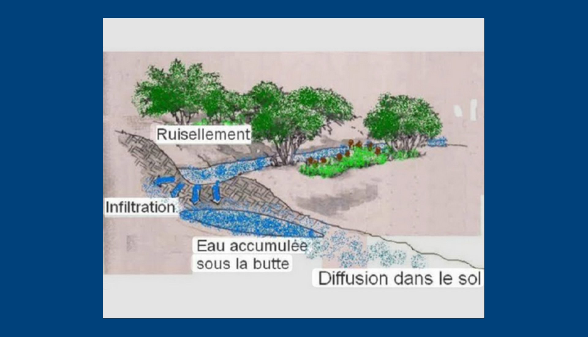Et si on cultivait l'eau