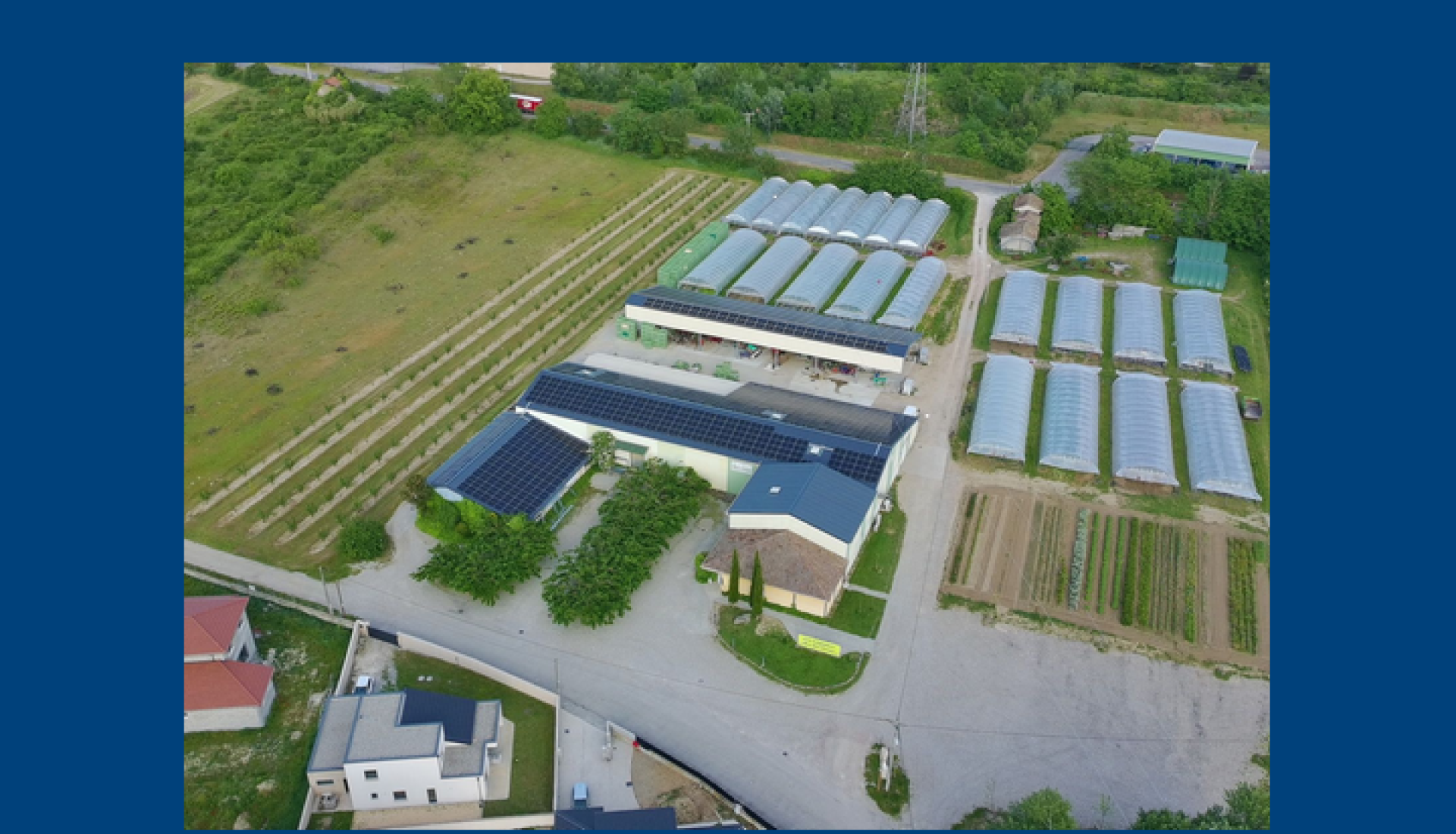 Visite d'une exploitation maraichère en Agriculture Biologique