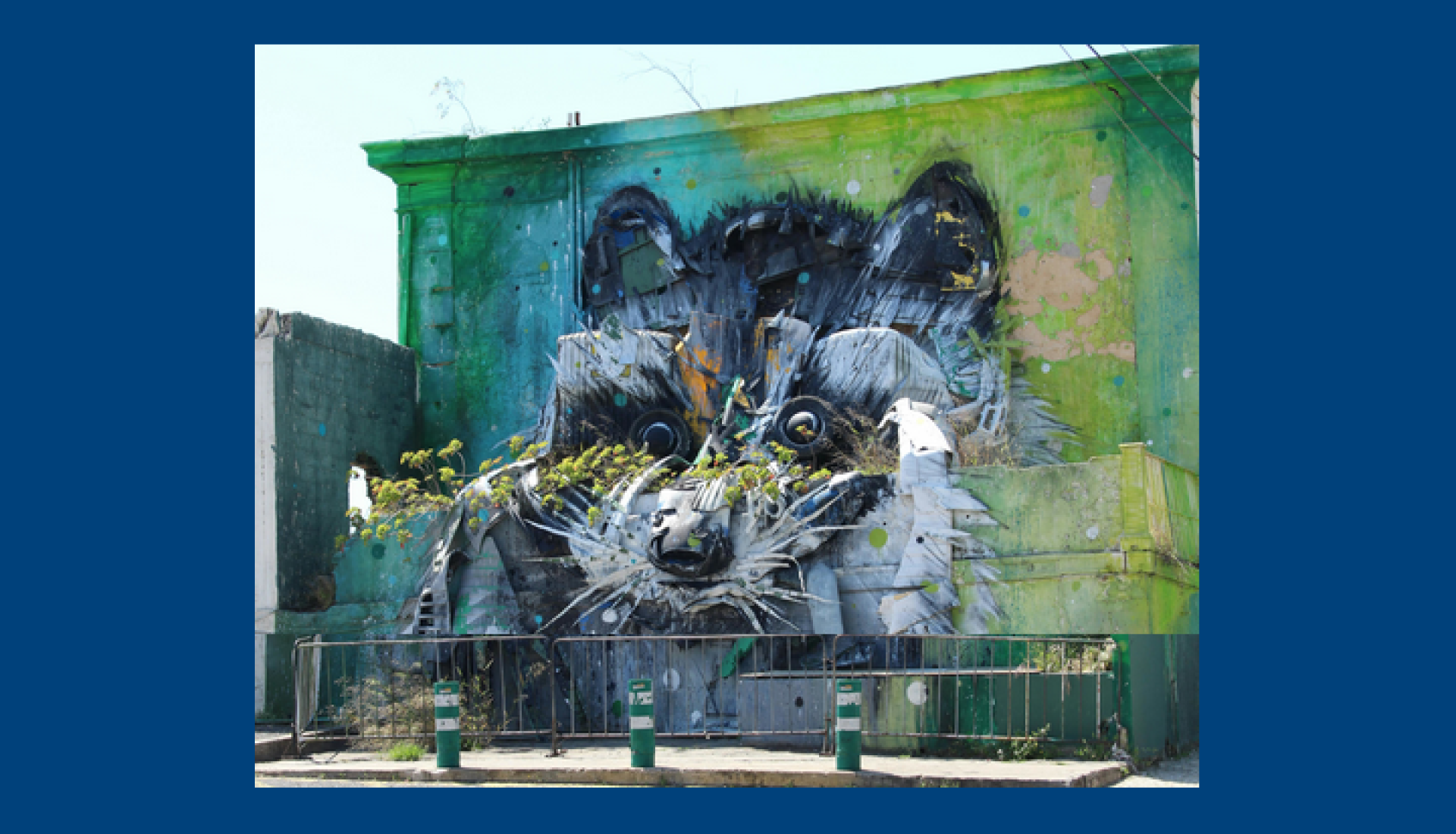 Peintures rupestres contemporaines : le street-art !